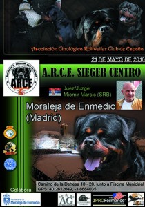 Arce Sieger Centro - Madrid 2016