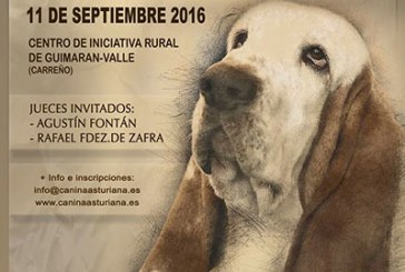 Resultados Rottweiler Concurso Canino el Valle en Asturias