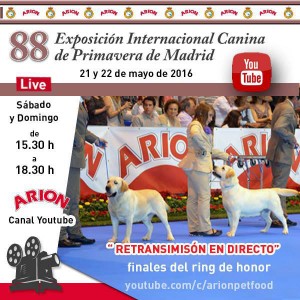 Exposición Primavera de Madrid