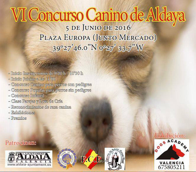 VI Concurso Canino de Aldaya