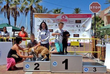 Fotos Concurso Nacional Canino Denia 2016