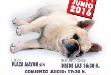 Resultados Rottweilers Concurso Canino Fuentenovilla