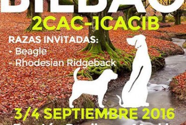 Resultados de los Rottweilers en la Exposición Canina de Bilbao
