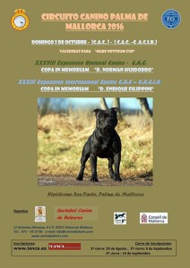 Exposición Nacional e Internacional Canina de Mallorca