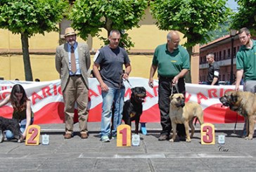 Resultados Concurso Canino de Trubia