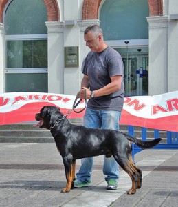 Concurso Canino Trubia