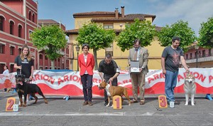 Concurso Canino de Trubia