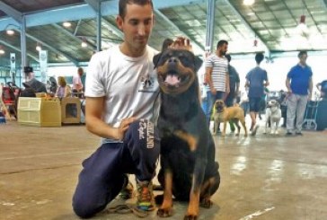 Resultados Exposición Internacional Canina Martorell 2016