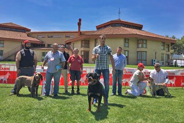 Resultados Concurso Canino en Brotalia – Huesca