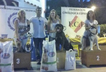 Resultados Rottweiler Concurso Canino de Chiva