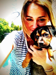 Miley Cyrus Beagle x Rottweiler