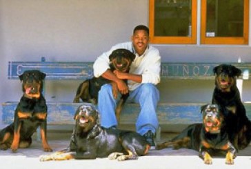 Famosos Con Rottweilers