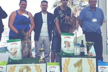 Resultados de los Rottweilers de la Exposición Canina Panoramis