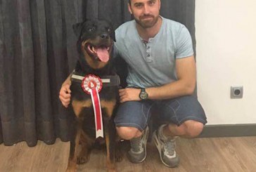 Ares, Rottweiler que ha conseguido ser Perro de Terapia