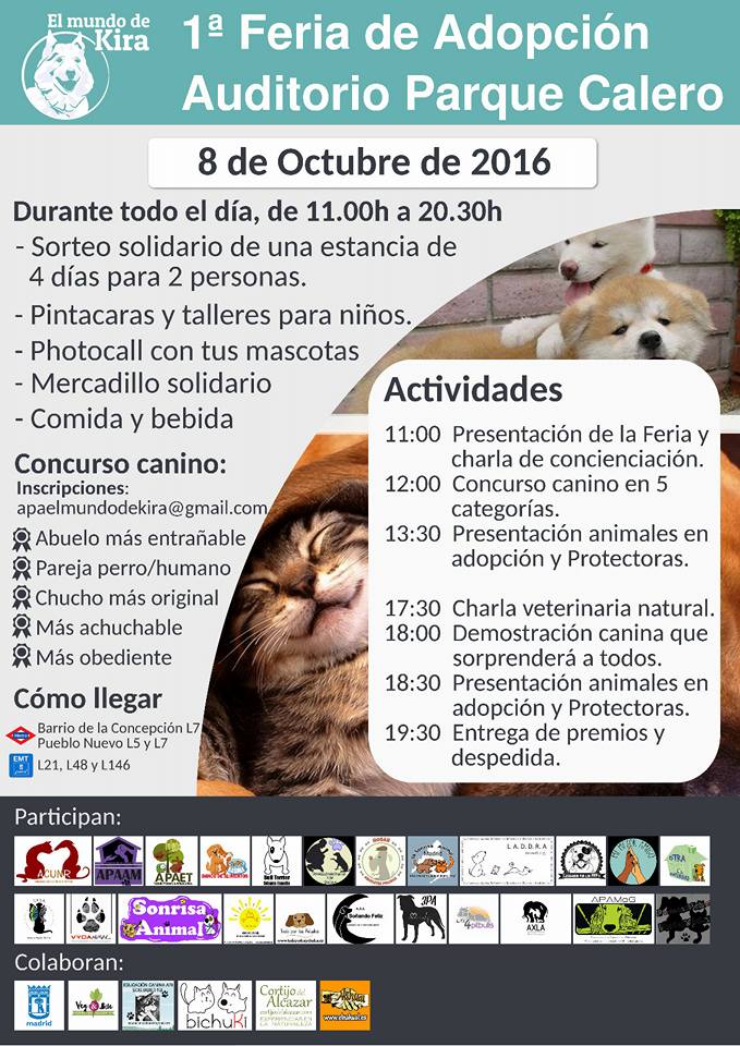 pompa Fangoso yeso Feria de la Adopción en Madrid - Amantes del Rottweiler