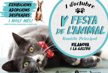 Fiesta del Animal en Vilanova i la Geltrú, Barcelona