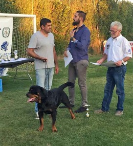 Exposición Canina en Villena - Foto cedida por Alianz Canine Worldwide